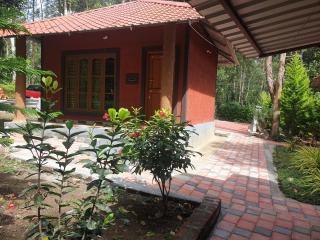 Todo estate stay coorg - Suntikoppa - 1