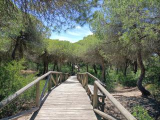 Cozy Apartment Views Pinares Almadraba - Rota - 9