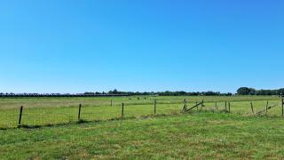 Glamping tent met privé sanitair - Hensbroek - 1