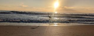 Beach Place N2026 - Jensen Beach - 1