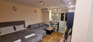 Anzoli Apartmani Centar Niksić - 7