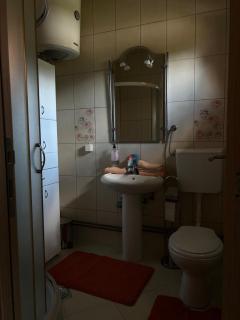 Apartmani Markovic - Arilje - 7