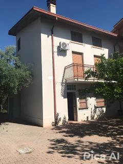 Tra gli ulivi - 2