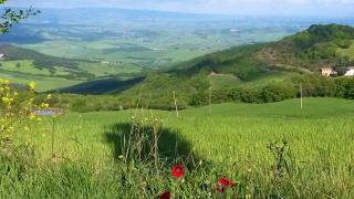 Relais Villa Sensano - 4