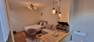 Anzoli Apartmani Centar Niksić - Nikšić - 8