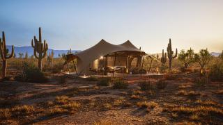 SaguaroGlamp - Marana - 5