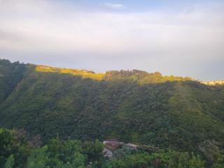 Fare Bungalow - Papeete - 5