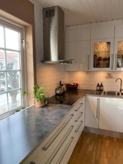 Spacious apartment with loft livingroom and workspace - Halden - 8
