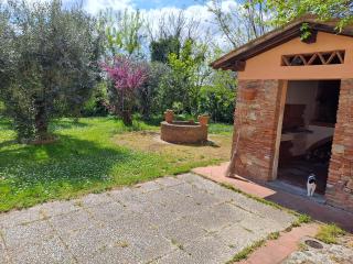 Agriturismo Podere Travalda - Pontedera - 9
