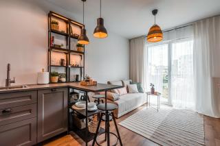 GDN Flisykowskiego 13 SuperApart - Gdańsk - 7