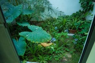 Tawfekh Villa with Pool, Sea View, and Balcony - 1