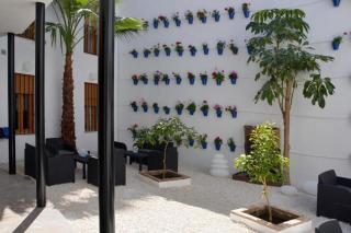 CASA PATIO LAS PALMERAs 2 - 6