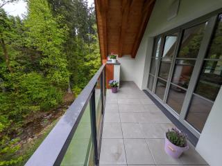Apartmán A10 v centru Harrachova - Harrachov - 1
