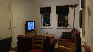 Nieuw gebouwd appartement op paarden bedrijf - - 5