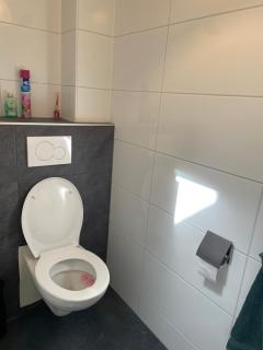 Nieuw gebouwd appartement op paarden bedrijf - - 6