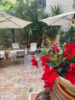 Relais B&B Corte Dei Turchi - Longiano - 6