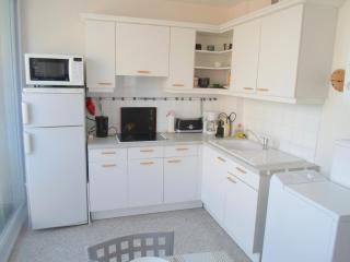 Appartement 2 pièces climatisé près des Thermes et de l'Étang de Thau - FR-1-503-49 - Balaruc-les-Bains - 1