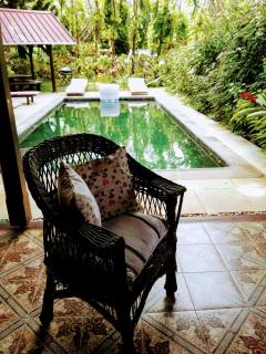 Beautiful Villa with Pool and Amazing Garden - - 1