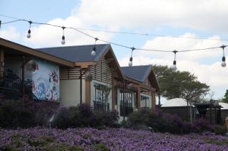 Olala Glamping Bảo Lộc - Bảo Lộc - 8