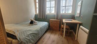 Studio plein centre - 3