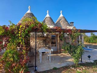 Trullo della ciclo - Cisternino - 2