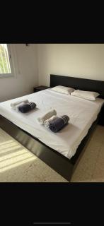 Sun Retreat Meneou - Dhromolaxia - 6