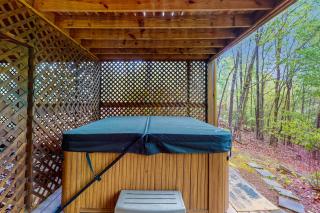 Cedar Ridge Lodge - Blue Ridge - 1