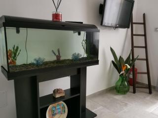 Al nido delle rondini - - 2