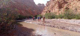 Gite d'étape La terre Amazigh - Oulad Akkou - 2