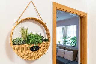 Central Green apartment - by Open House - Timişoara - 2