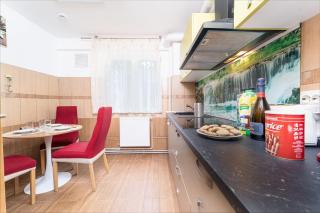 Central Green apartment - by Open House - Timişoara - 3