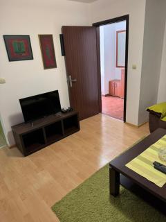 Vila Dunja Durmitor - Žabljak - 5