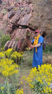 Gite d'étape La terre Amazigh - Oulad Akkou - 6