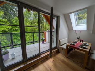 Apartmán A10 v centru Harrachova - Harrachov - 2