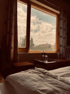 Zlatan Guest House - Leh - 1