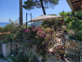Entre La Mer et Les Etoiles - Le Rayol-Canadel-sur-Mer - 0