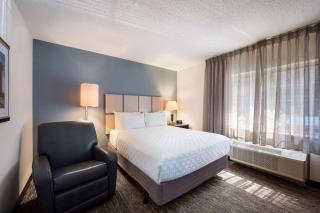 Sonesta Simply Suites Lansing - Lansing - 5