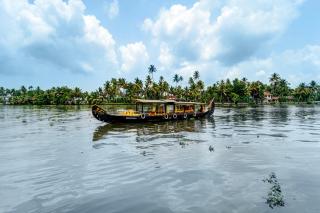Alaya Stays Palm Dale Heritage Backwater Retreat with Garden & Restaurant - Alleppey - 4