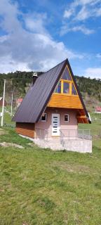 Planinski san - Žabljak - 1