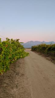 Gilgal Guest Accommodation - Onder-Papegaaiberg - 5