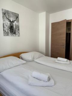 Appartement Berger - Zell am See - 7