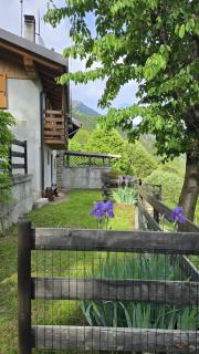 Ciapin House - 3