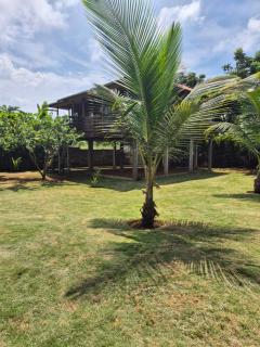 Jo's Nature Cabin - Santana - 5