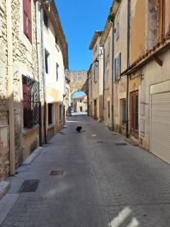 Mon Eden - Gite Le Verdet - Meynes - 2