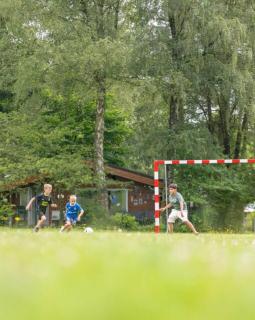 Palmoco Lodge - Lanaken - 9