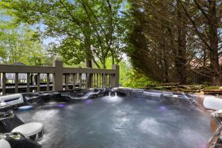 12 Min to Downtown Sleeps 16 Hot Tub Fire Pit - Blue Ridge - 9