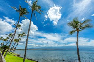 Lauloa 407 by Coldwell Banker Island Vacations - Wailuku - 5