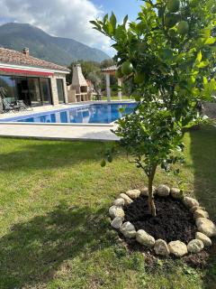 Villa Mia - Radanovići - 4