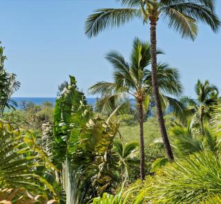 Maui Banyan T303 by Coldwell Banker Island Vacations - Wailea - 2