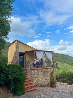 Agriturismo Campo dei Lupi - Vicopisano - 9